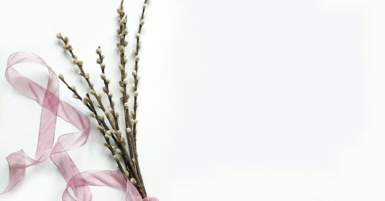 Read This Piece To Enjoy Your Beauty Routine
